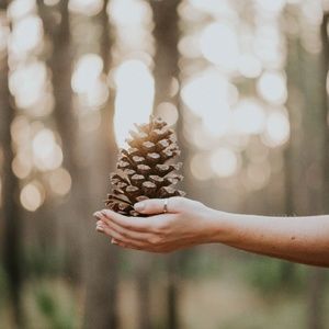 Meet your Posher, Rachel